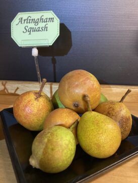 Arlingham Squash