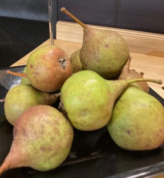 Beetroot Wick Court Alex