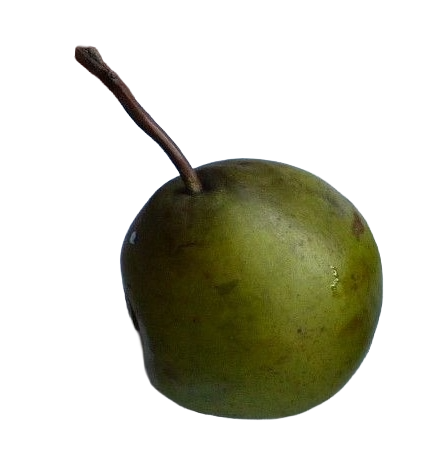 Bird Pear