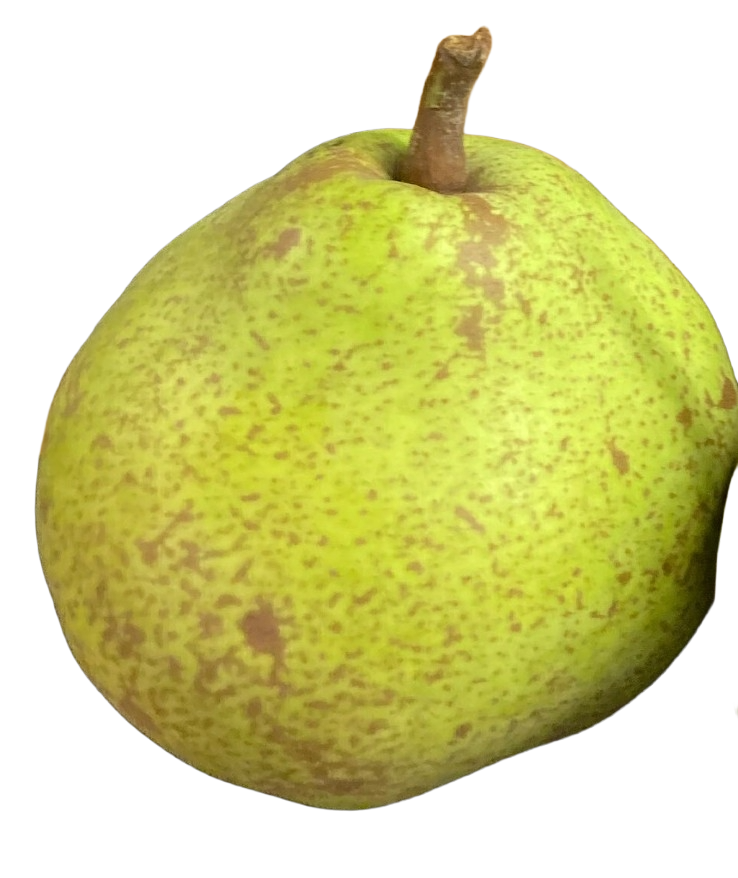 Catillac syn duo thumbnail