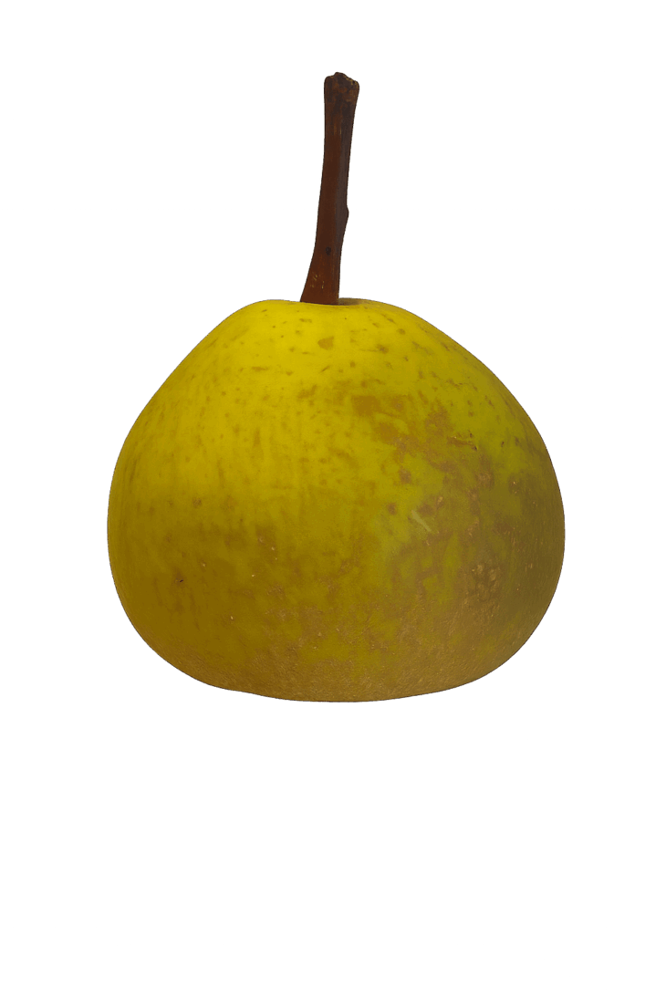 Holme Lacy Pear