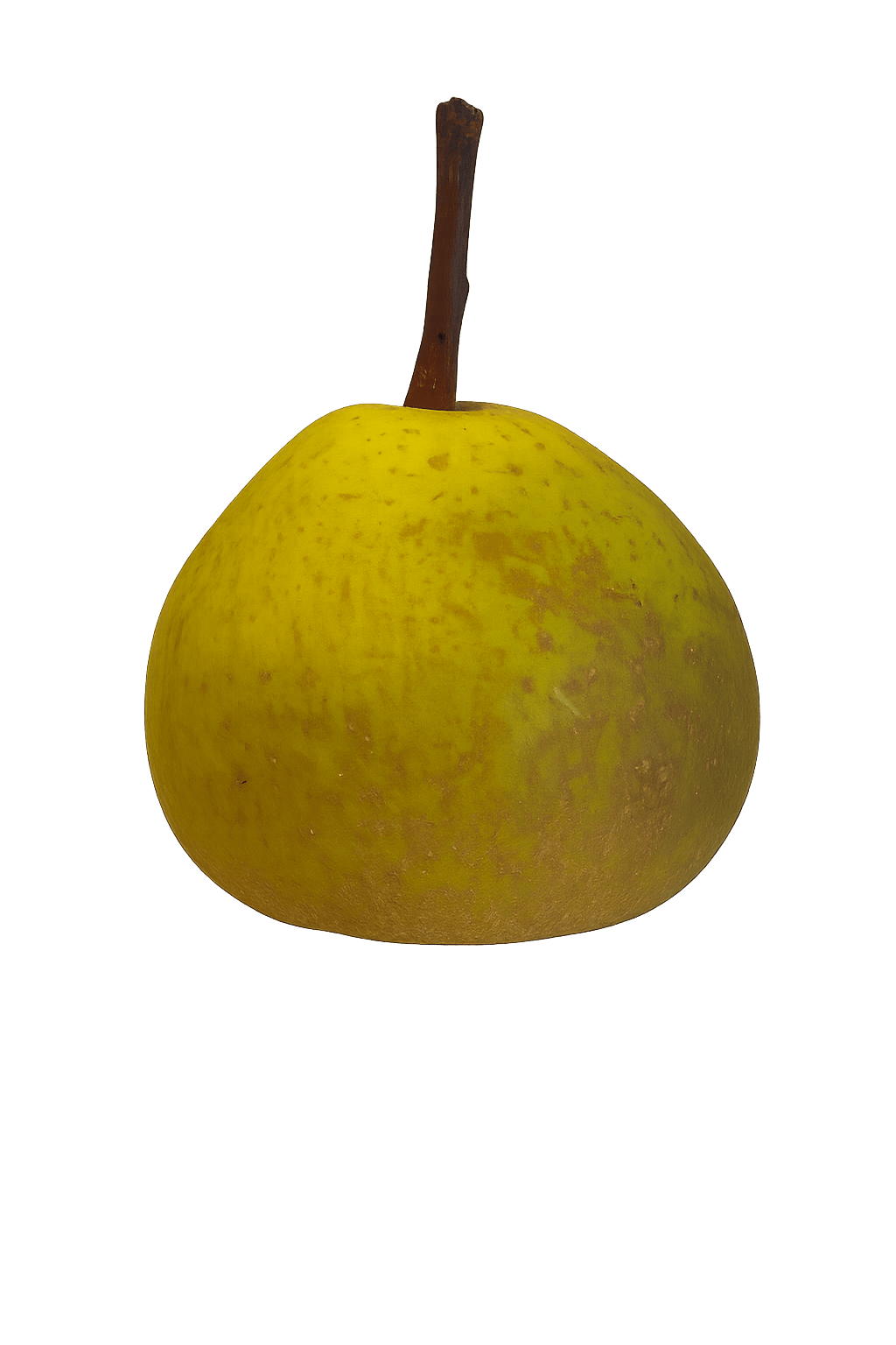 Holme Lacy min background