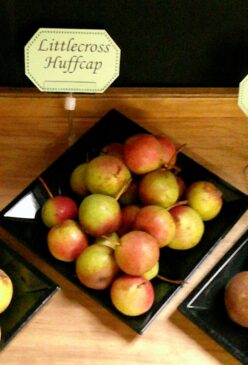 Littlecross Huffcap display