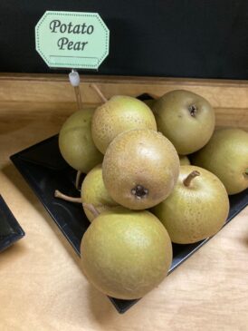 Potato Pear
