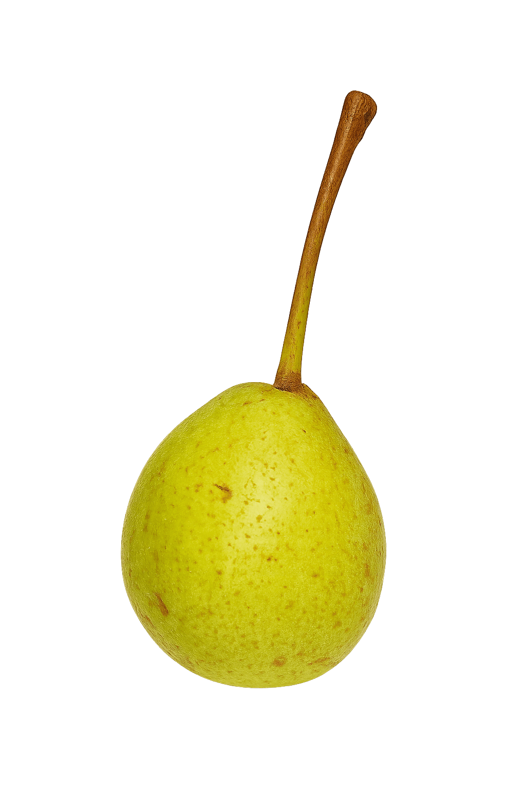 Teegar thumbnail super compressed