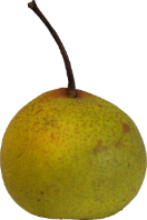 Boy Pear