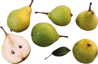 Speart Pear