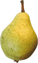 Speart Pear