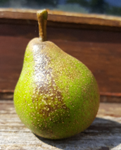 ‎Littleton Late Treacle