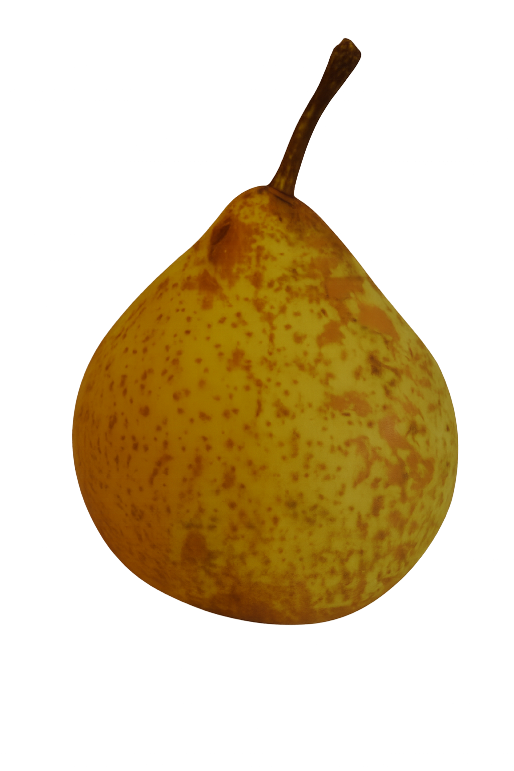 Berllanderi Green clean thumbnail