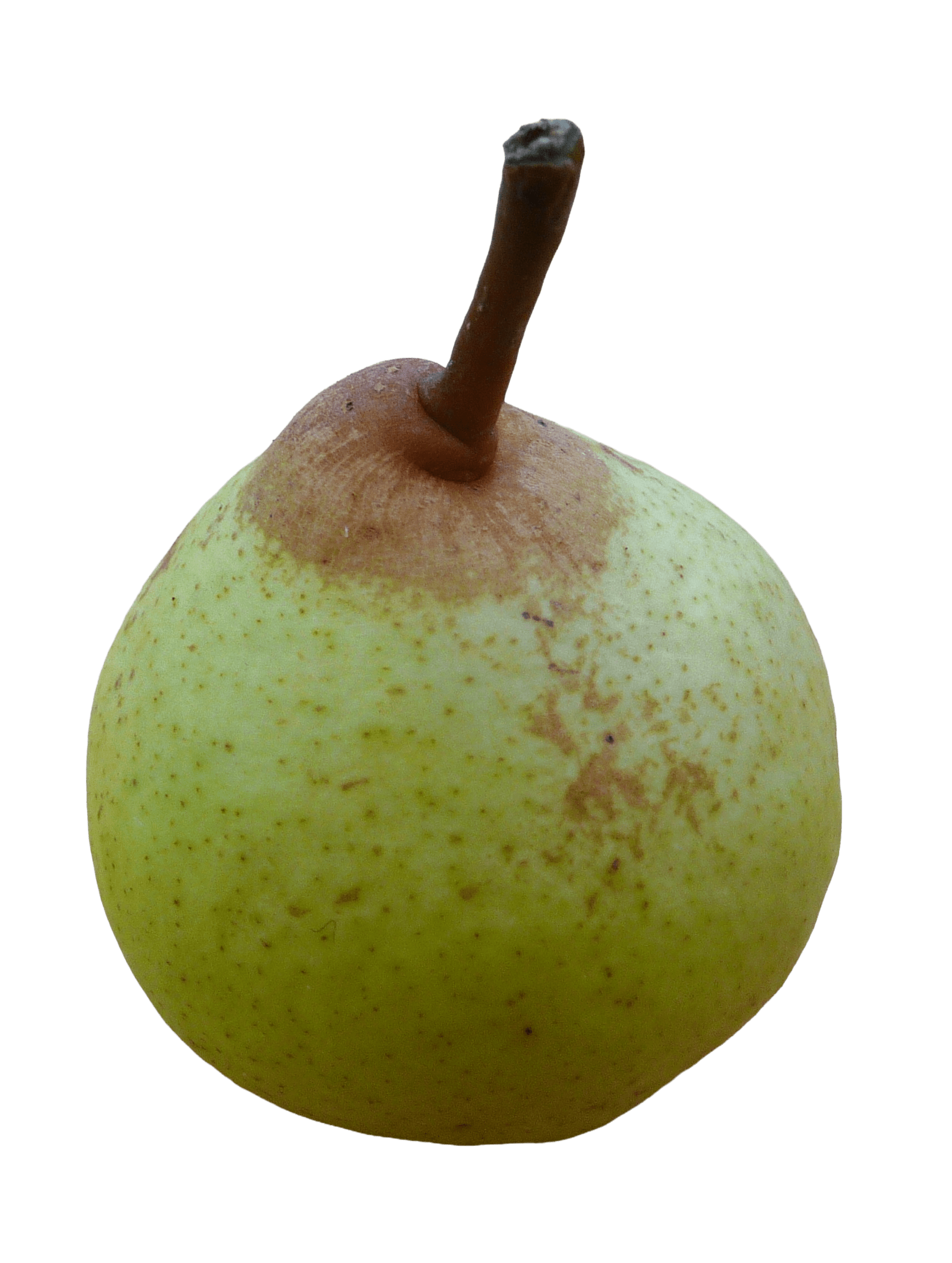 Hawkes Hill thumb compressed min