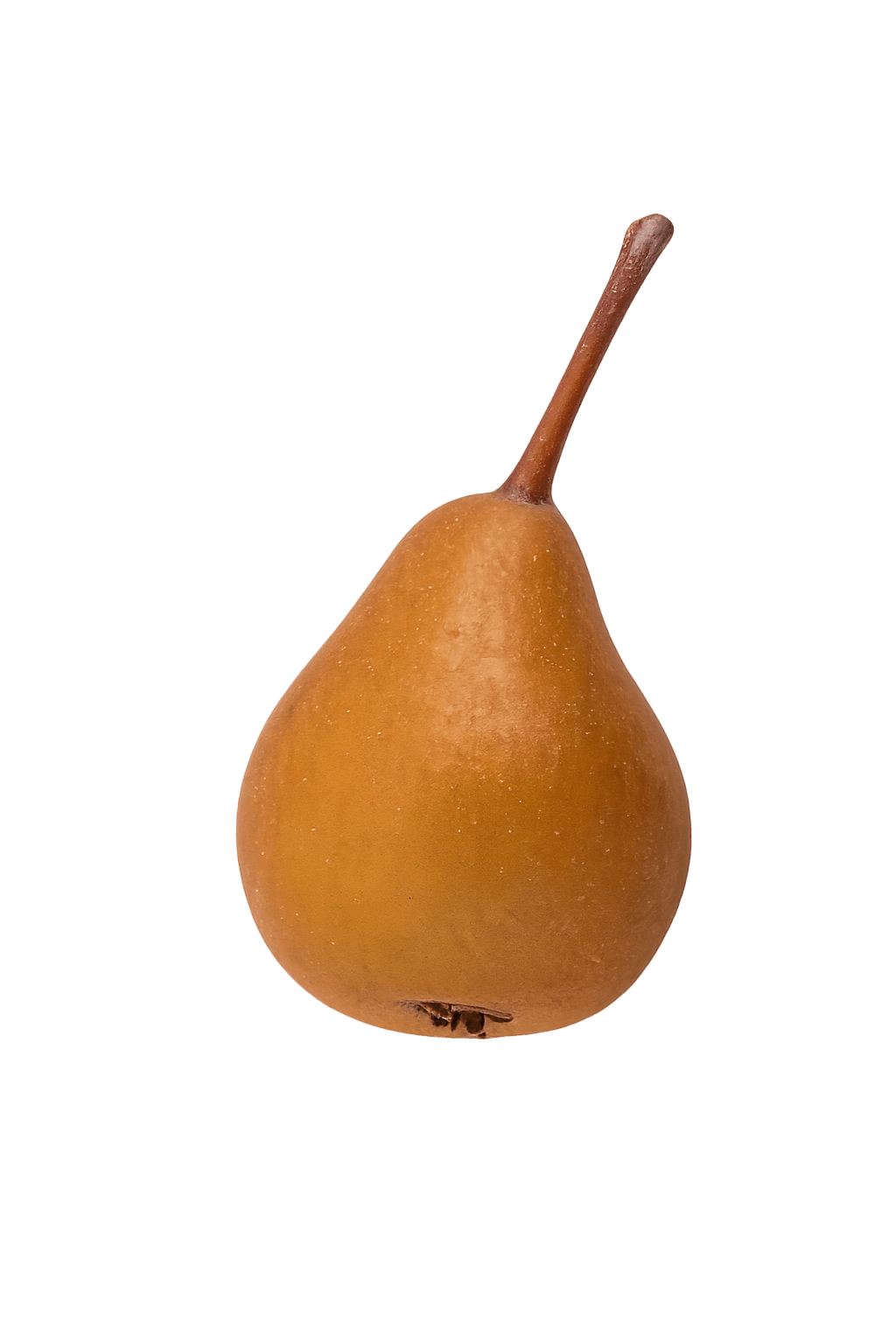 Martin sec thumbnail min