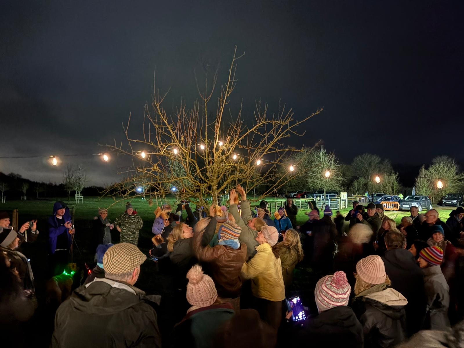 20260130 Wassail tree pic